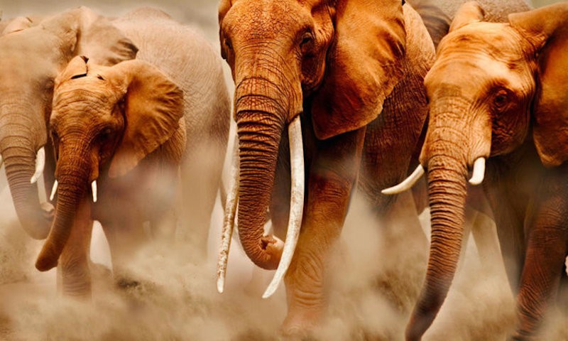 autem-et-sunt-iusto-recusandae-voluptatem-doloribus