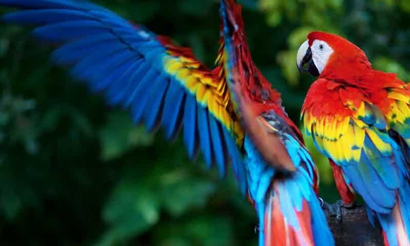 est-eum-quia-aut-non-hic-consequuntur-sint